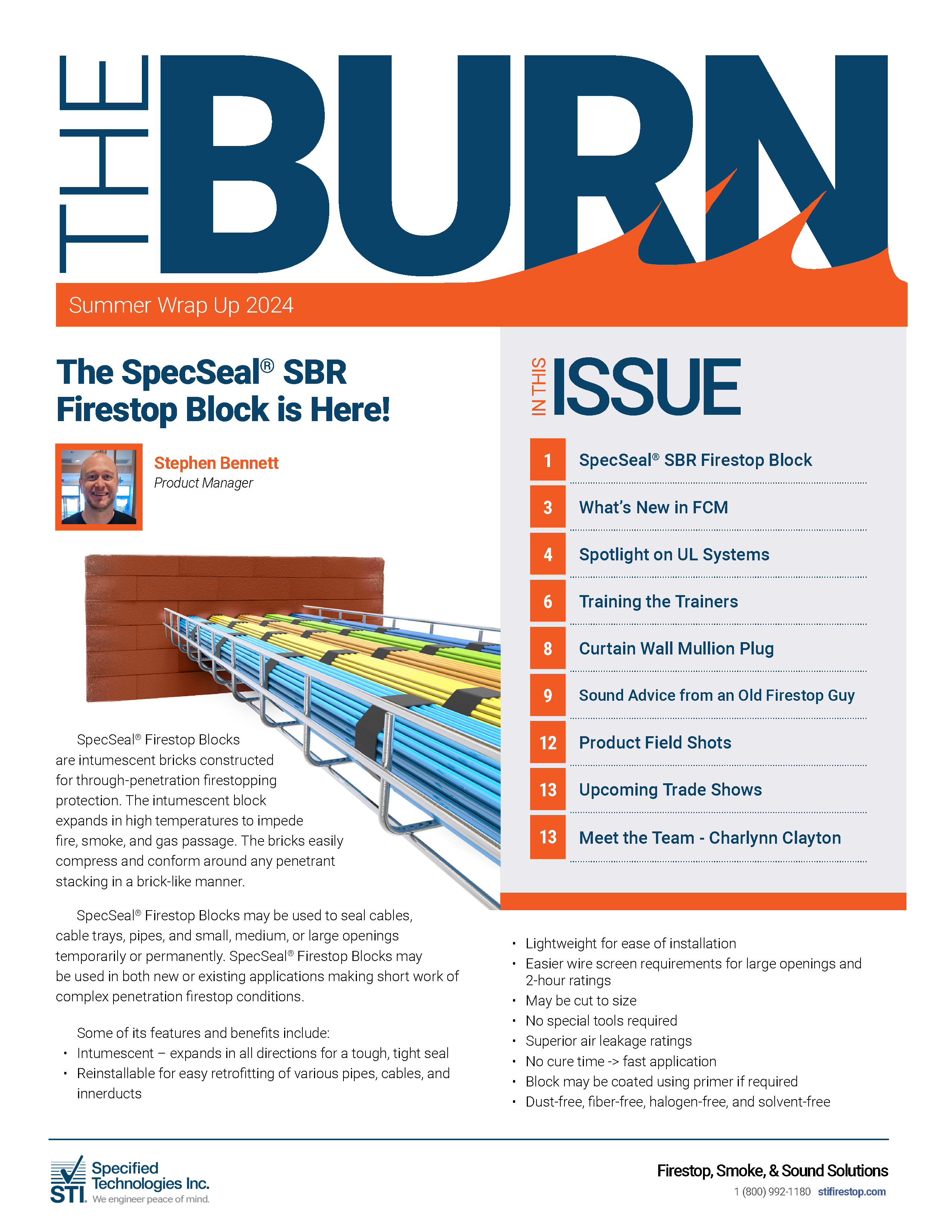 The Burn Newsletter - Resumo do verão de 2024